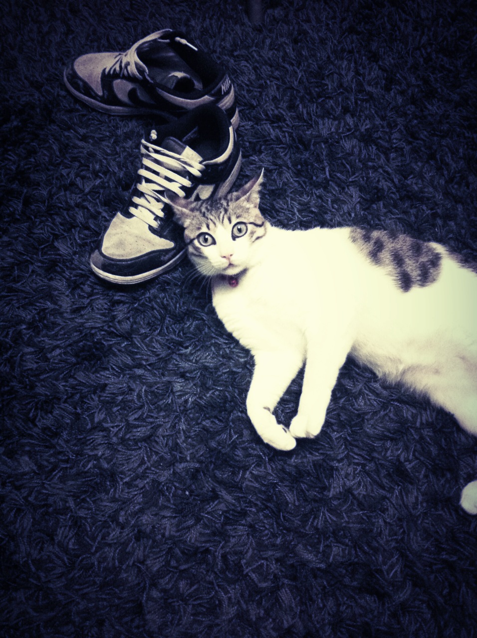 Kevin